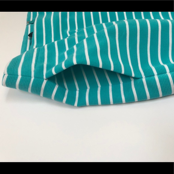 Talbots Aqua and white striped skirt - Picture 7 of 7